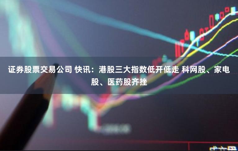证券股票交易公司 快讯:港股三大指数低开低走 科网股、家电股、医药股齐挫